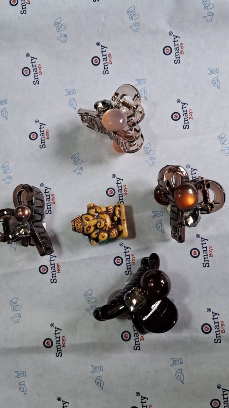 Daily wear & office wear clips